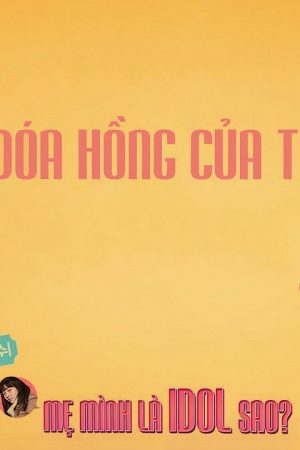 Đóa Hồng Của Tôi