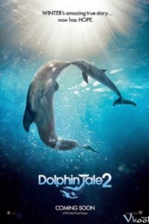 Câu Chuyện Cá Heo 2 - Dolphin Tale 2