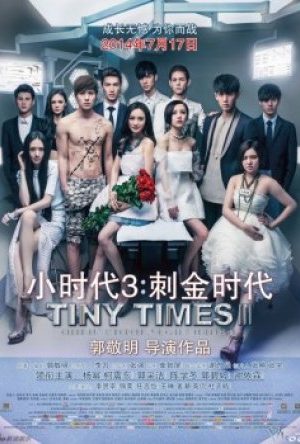 Tiểu Thời Đại 3 - Tiny Times 3