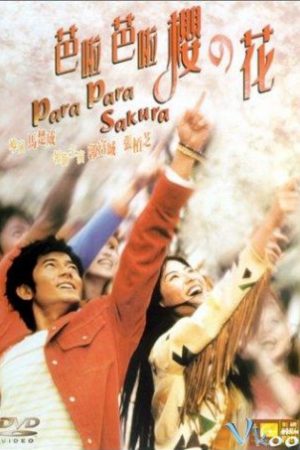 Hoa Anh Đào Lãng Mạn – Para Para Sakura