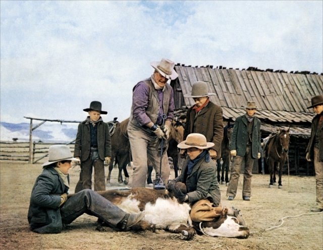 Xem Phim Cao Bồi Nhí - The Cowboys - Vkool.TV - Ảnh 3