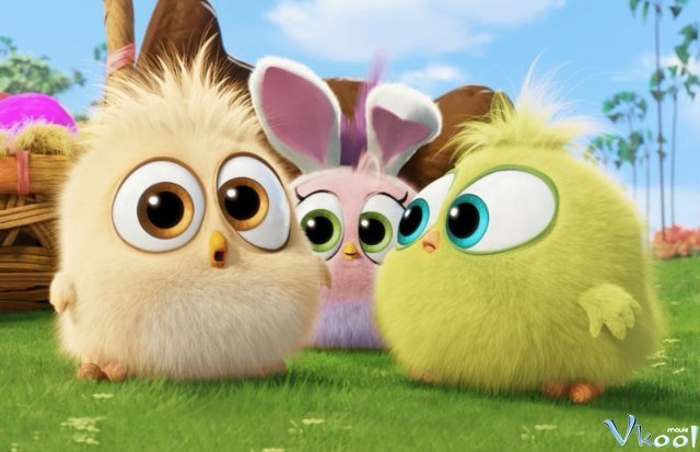 Xem Phim Những Chú Chim Nổi Giận - The Angry Birds Movie - Vkool.TV - Ảnh 5