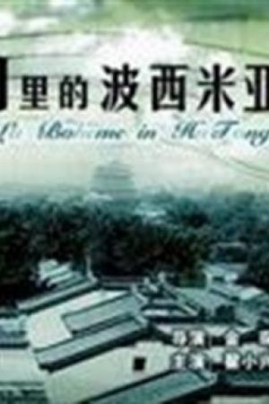 Khúc La Boheme Trong Lòng Phố Cổ - The La Boheme Of Hutong
