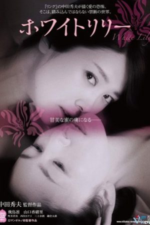 Hoa Ly Trắng - White Lily