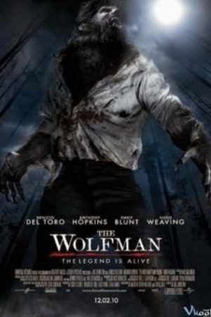Ma Sói - The Wolfman
