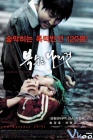 Trả Thù - Sympathy For Mr Vengeance