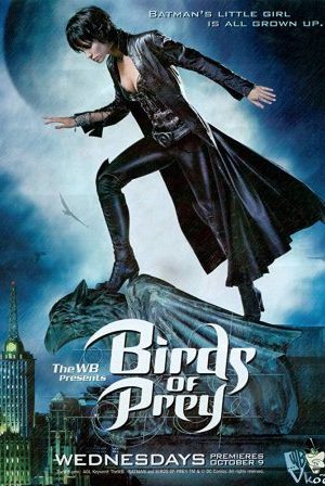 Nữ Ác Nhân - Birds Of Prey