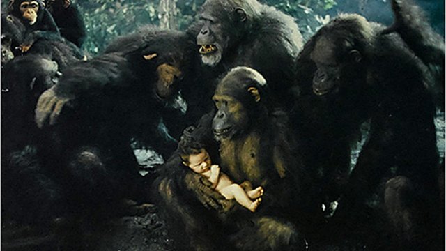 Xem Phim Bá Tước Greystoke Truyền Thuyết Về Tarzan - Vua Khỉ - Greystoke: The Legend Of Tarzan, Lord Of The Apes - Vkool.TV - Ảnh 2