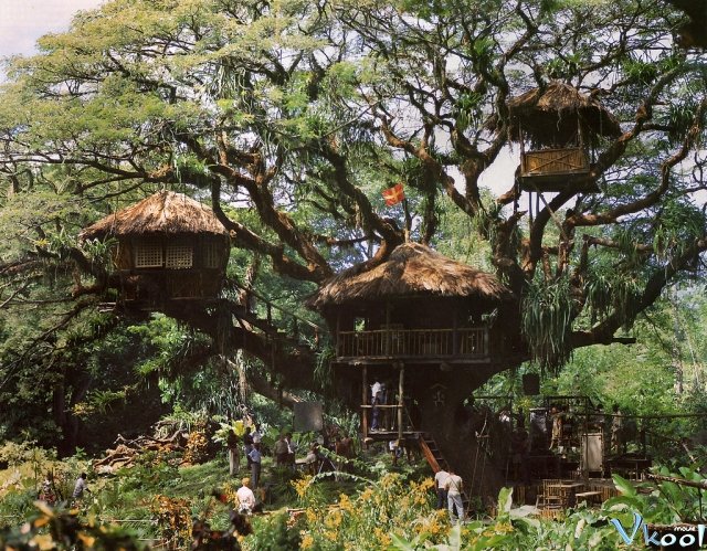 Xem Phim Gia Đình Robinson Trên Hoang Đảo - Swiss Family Robinson - Vkool.TV - Ảnh 4