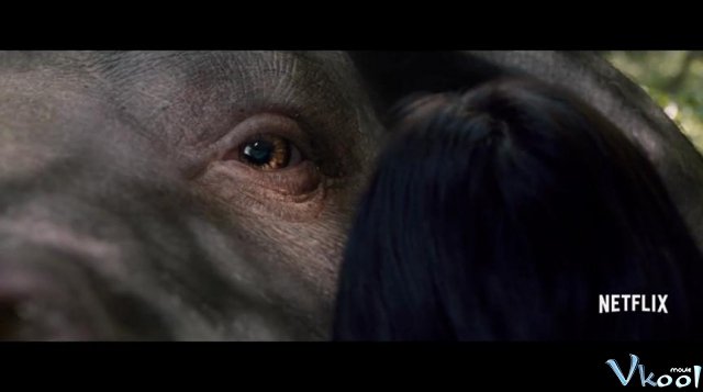 Xem Phim Siêu Lợn Okja - Okja - Vkool.TV - Ảnh 4