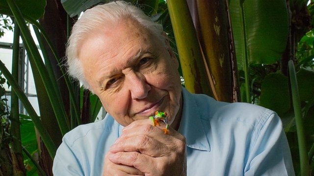 Xem Phim Thế Giới Loài Ếch - Bbc Natural World - Attenborough